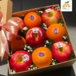 HỘP QUÀ TẶNG NHỎ