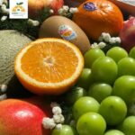 HỘP TRÁI CÂY QUÀ TẶNG LỚN