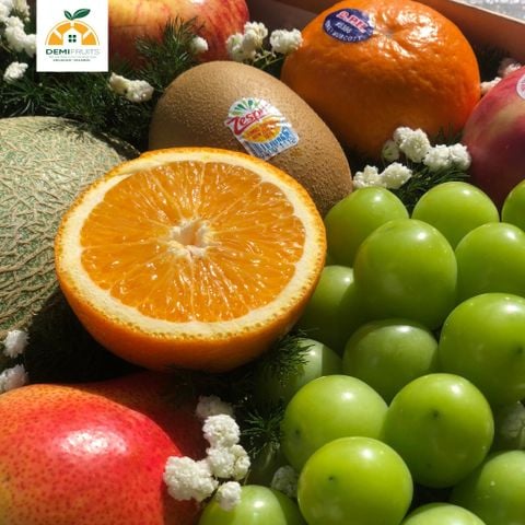 HỘP TRÁI CÂY QUÀ TẶNG LỚN