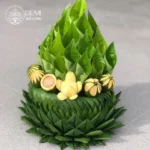 ĐẾ LÁ CHUỐI TRẦU CAU