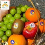 GIỎ TRÁI CÂY NHẬP KHẨU