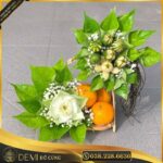 TRẦU CAU VÀ QUÝT