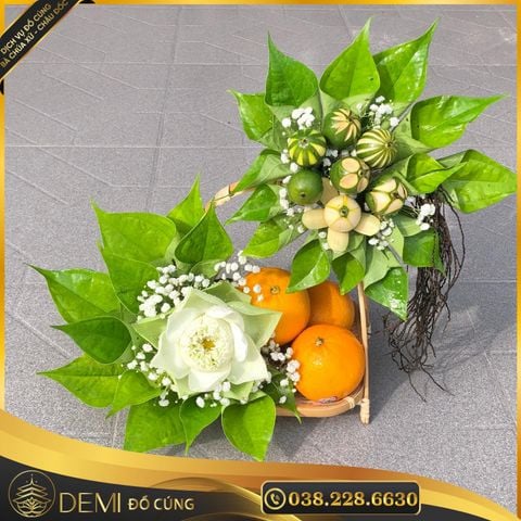 TRẦU CAU VÀ QUÝT