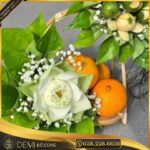 TRẦU CAU VÀ QUÝT