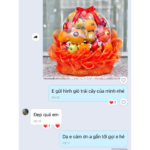 GIỎ TRÁI CÂY NHẬP KHẨU - A06