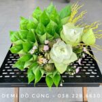 ĐĨA TRẦU CAU KÈM HOA ĐỒNG TIỀN