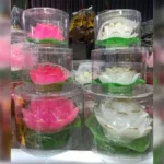 ĐÈN SEN PHÁT QUANG