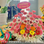 MÂM HOA ĐỒNG TIỀN