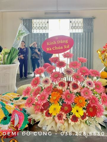 MÂM HOA ĐỒNG TIỀN