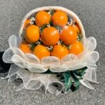 GIỎ TRÁI CÂY NHẬP KHẨU - K02