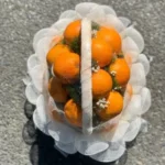 GIỎ TRÁI CÂY NHẬP KHẨU - K02