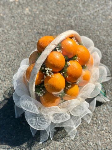 GIỎ TRÁI CÂY NHẬP KHẨU - K02