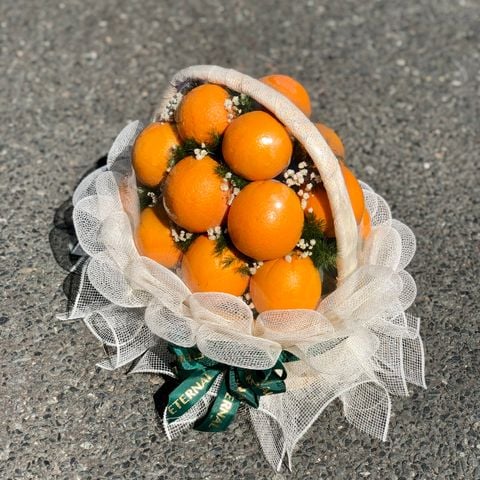 GIỎ TRÁI CÂY NHẬP KHẨU - K02