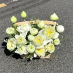 GIỎ HOA SEN TRẮNG