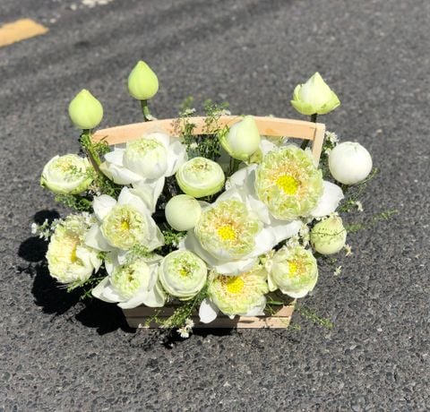 GIỎ HOA SEN TRẮNG